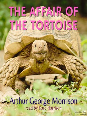 cover image of The Affair of the Tortoise